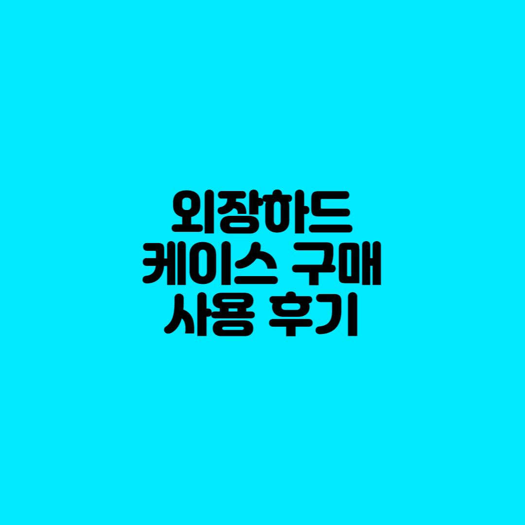  외장하드 케이스 구매와 사용 후기