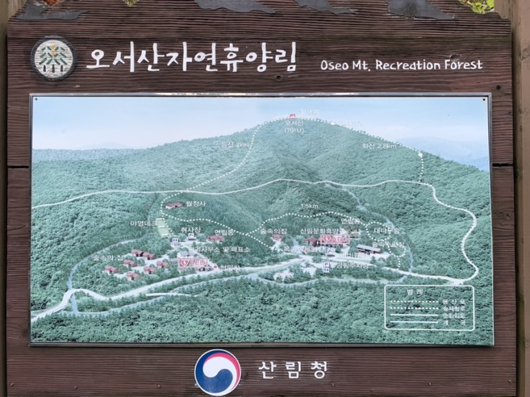 오서산 최단코스 [BAC 100대명산 / 보령 오서산 최단코스] 오서산자연휴양림 ~ 월정사 27