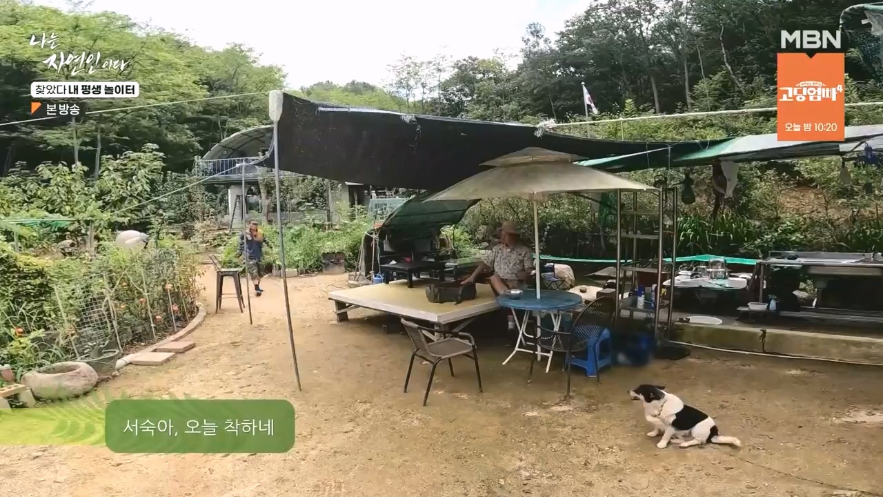 나는 자연인이다.E569.230831p-NEXT.mp4_20230831_201757.079.jpg