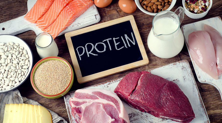단백질 보충제 부작용