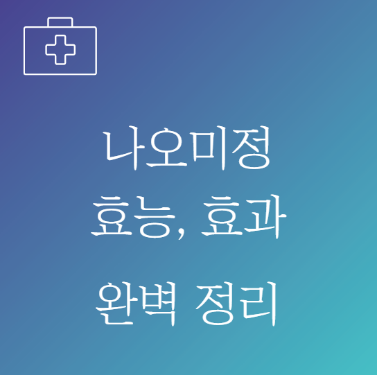 나오미정