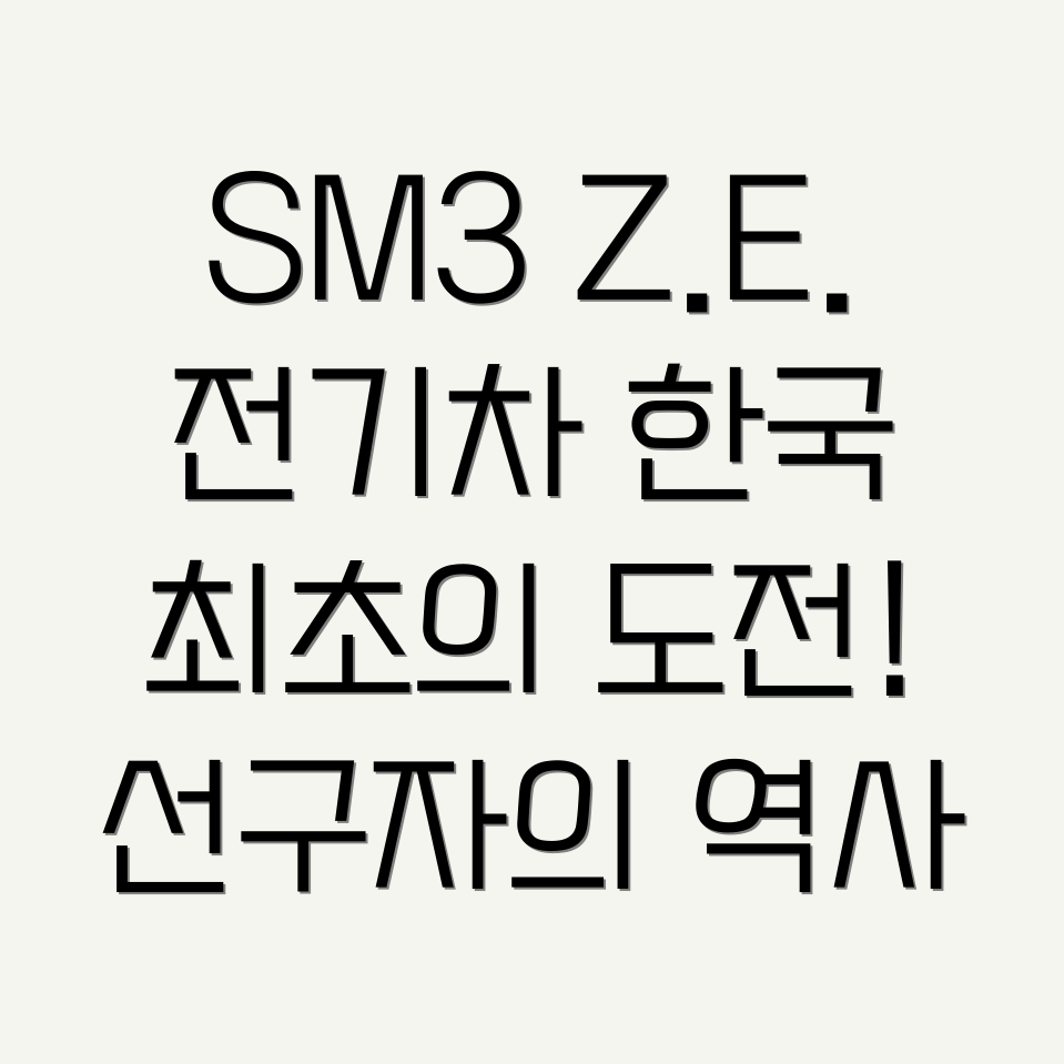 르노삼성 SM3 Z.E.