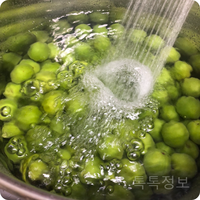 매실 씻기