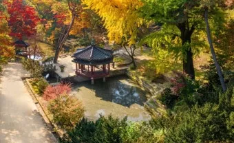 5월 창덕궁 응봉산 수도권 꽃구경 10선_8