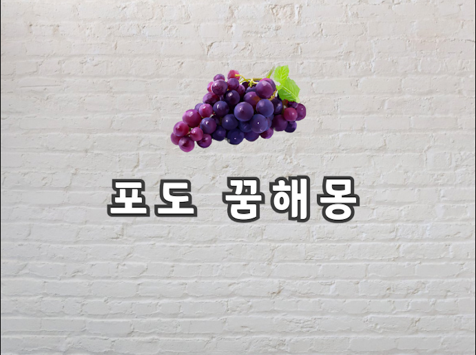 포도 꿈 포도꿈해몽 한번 보고가세요