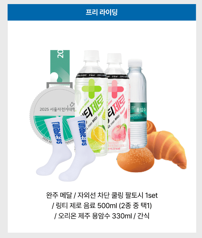 서울 자전거 대행진
