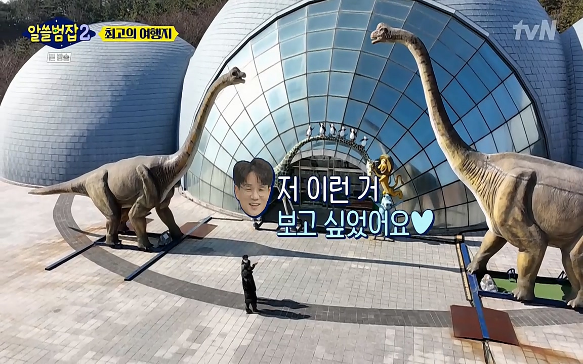 알쓸범잡 2.E16.220502p-NEXT.mp4_20220502_184335.023.jpg