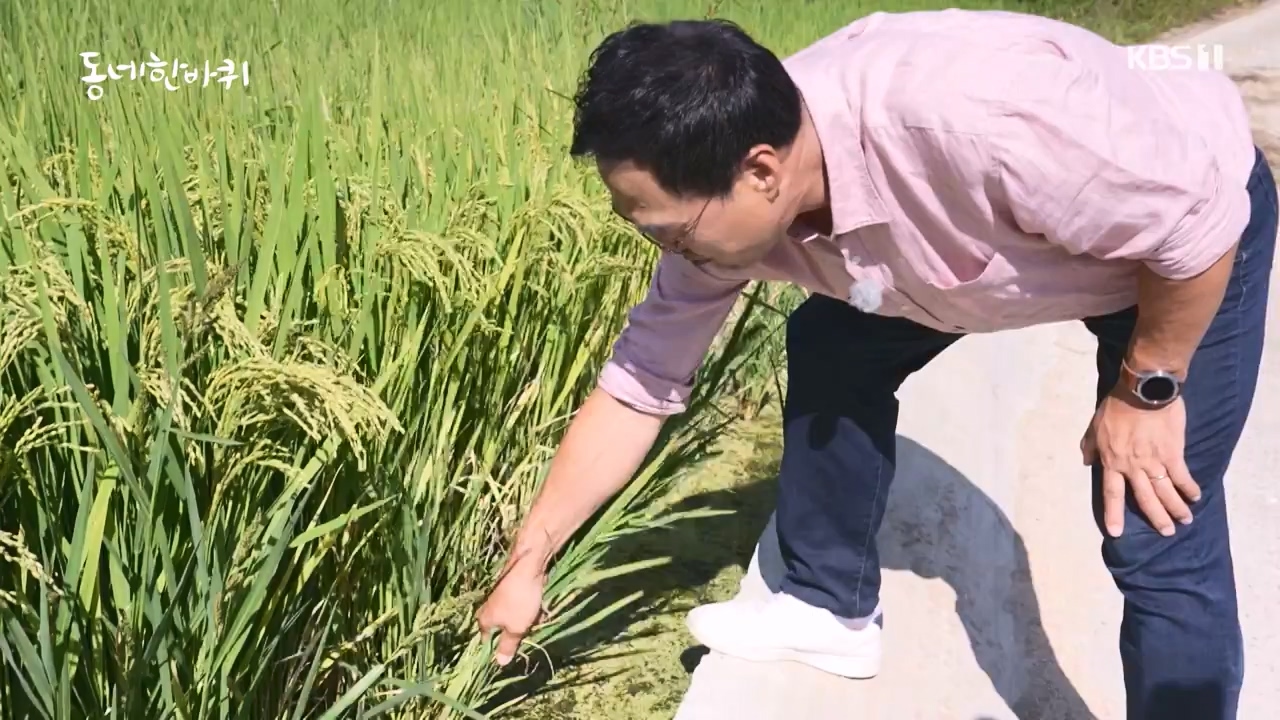 동네 한 바퀴.E242.230931p-NEXT.mp4_20231002_161500.541.jpg
