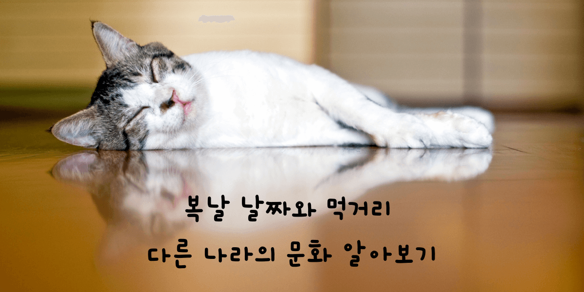  복날 날짜와 먹는 음식, 외국의 복날에 대해서(feat. 초,중,말복 날짜)