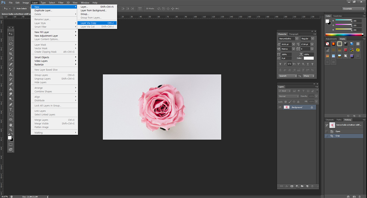 포토샵 색상보정 이미지 복사하기