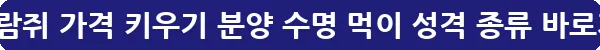 하늘다람쥐 가격 키우기 분양 수명 먹이 성격 종류_19