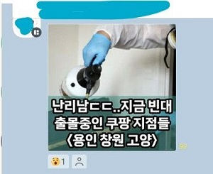 쿠팡 빈대 출몰 글