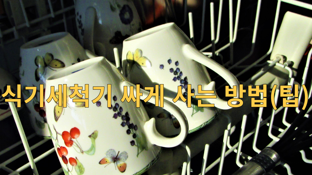  식기세척기 싸게 사는 방법(팁)