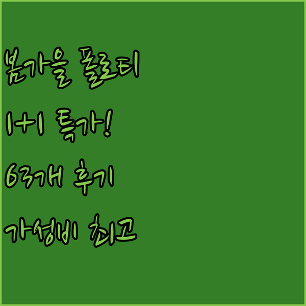 중년 여성 봄가을 폴로티 1+1 특가