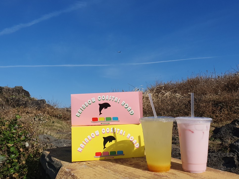 제주 전연령 렌트카 제주도 첫날 시작! 3