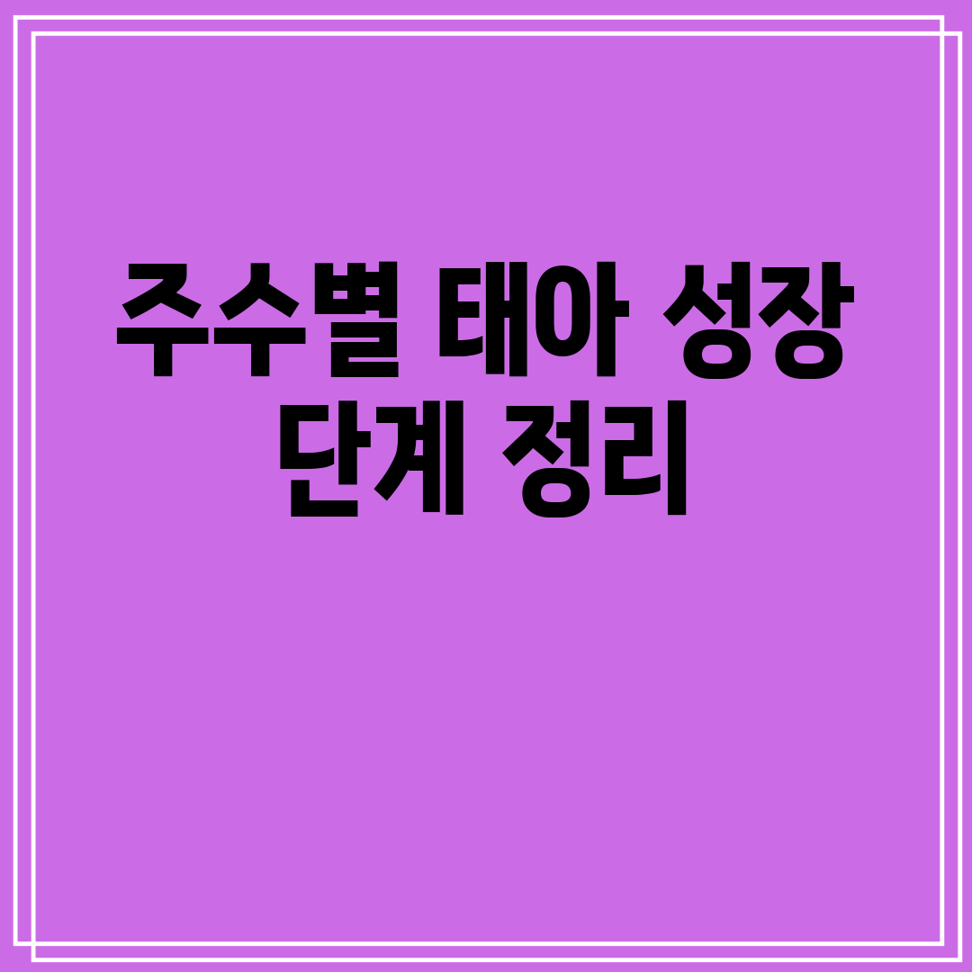 주수별태아성장단계정리