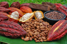 카카오 (Cacao)