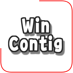  WinContig 한글 (디스크 조각 모음)