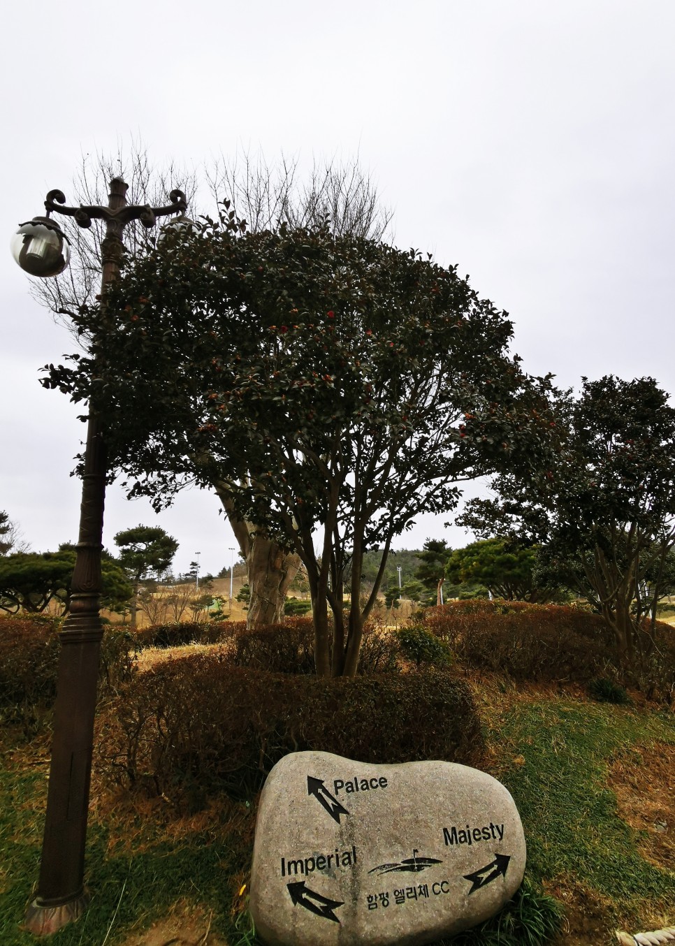 마제스티 1박2일 함평 엘리체CC 10