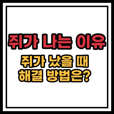  종아리 다리 쥐나는 이유