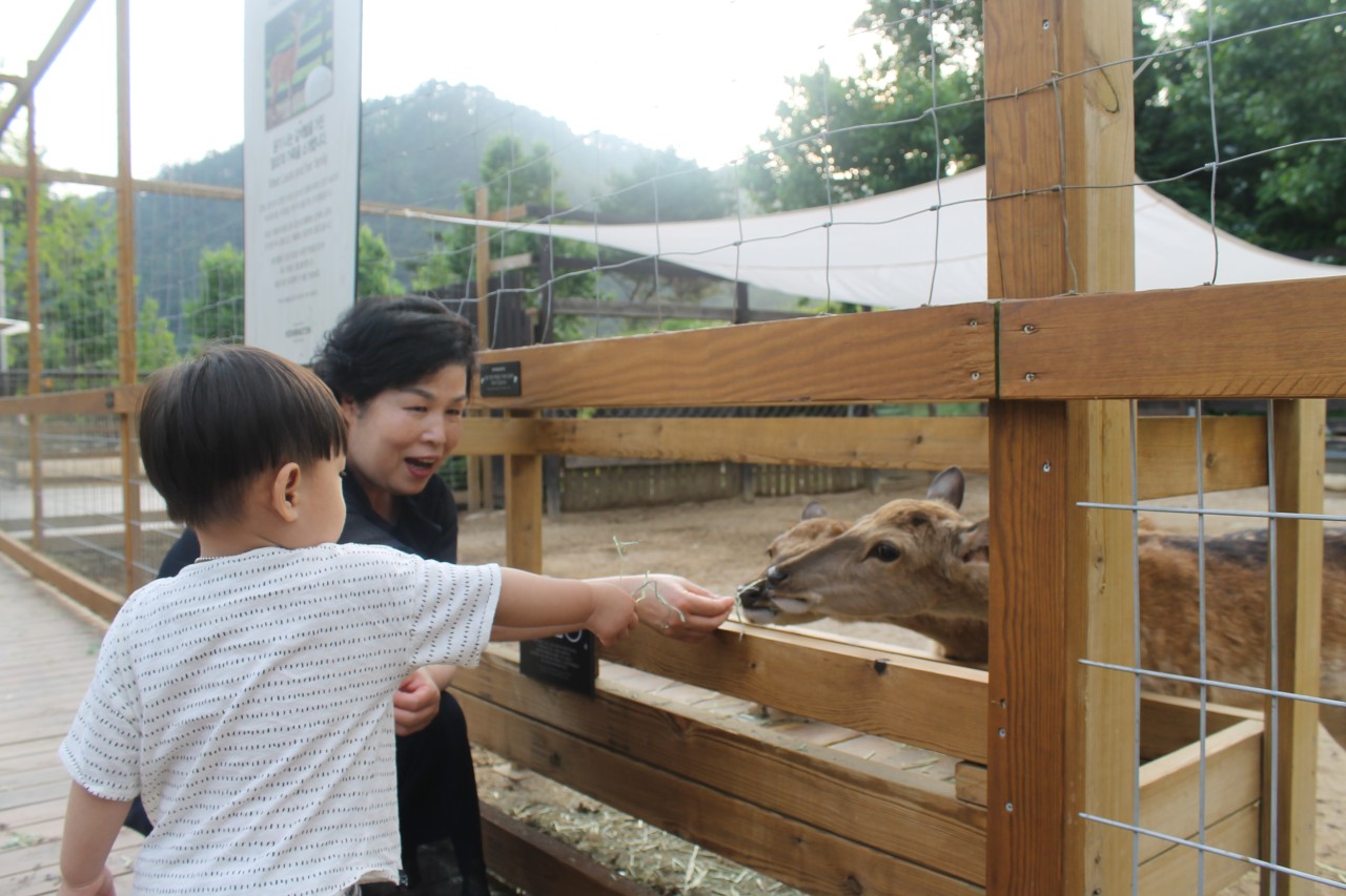 봄 가족여행 호캉스 강력 추천(평창 6