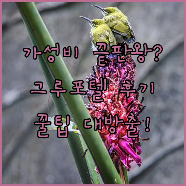 그루포텔 타우러스 파크 호텔, 가성비
