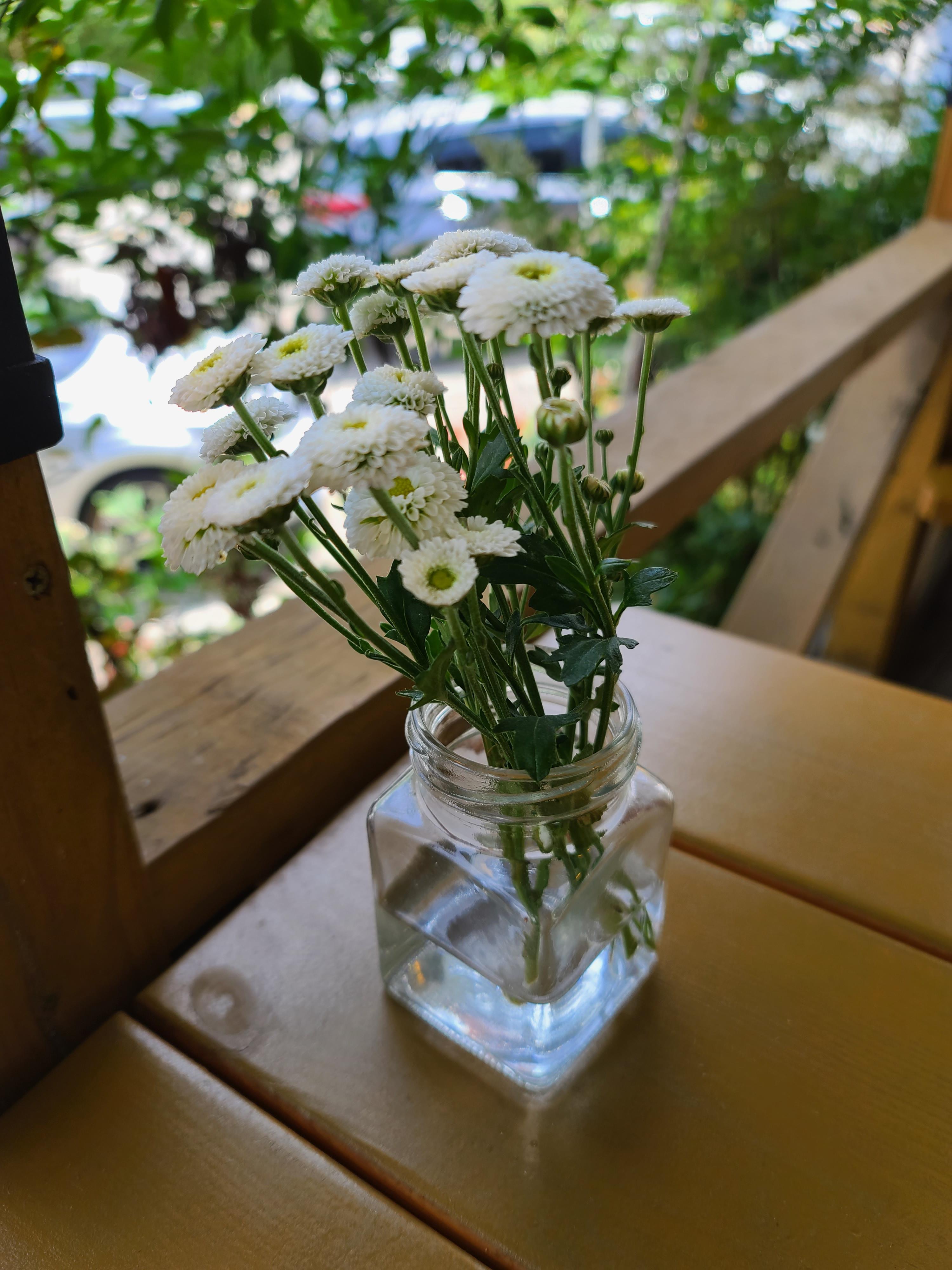 테이블 꽃 사진