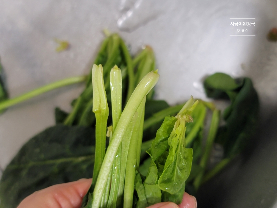 시금치 요리 바지락 시금치된장국 만드는법 14