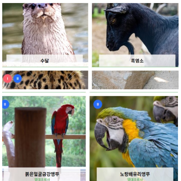 전주동물원-동물들