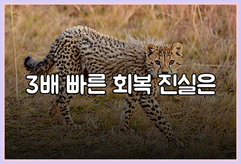 3배 빠른 회복 진실은