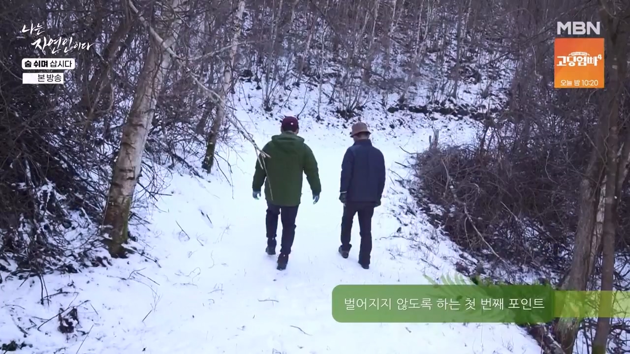 나는 자연인이다.E596.240307p-NEXT.mp4_20240307_195653.826.jpg