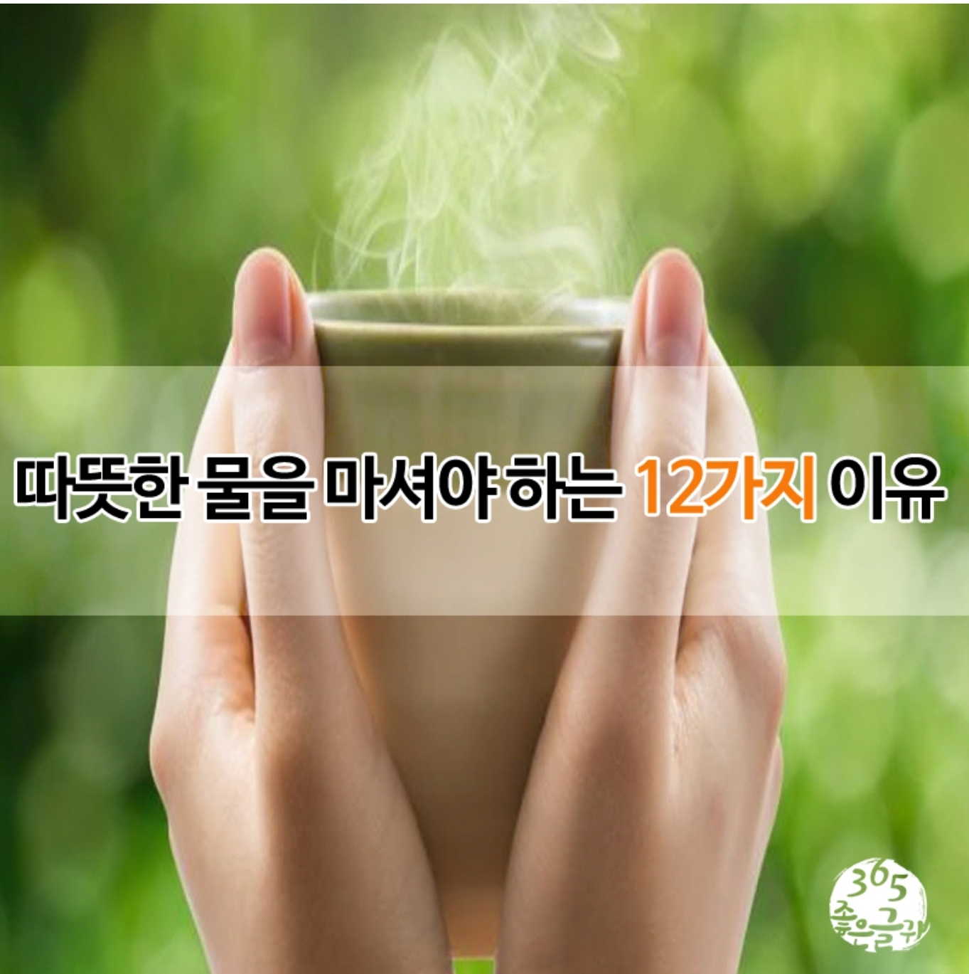  따뜻한 물을 마셔야 하는 12가지 이유