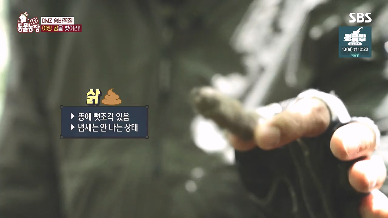 TV 동물농장.E1184.240812p-NEXT.mp4_20240811_172517.048.jpg