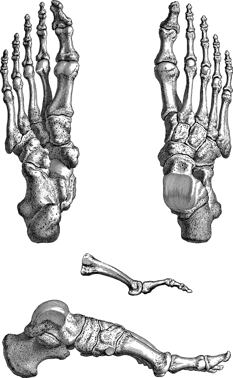 꼬리뼈 통증