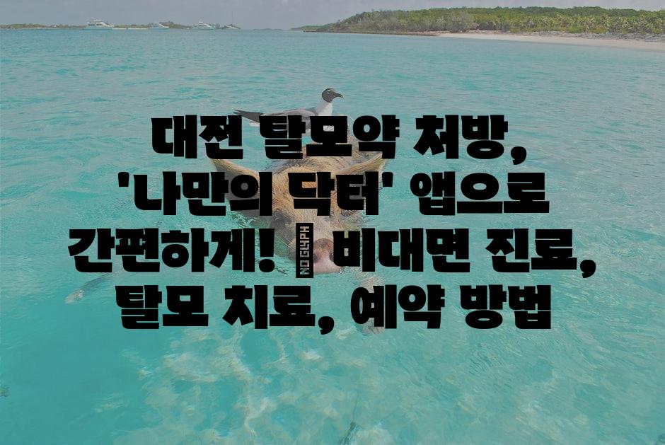 샘플 (1)
