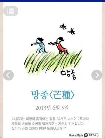 망종 절기 망종의 뜻 전통음식 매실청 담그기_16