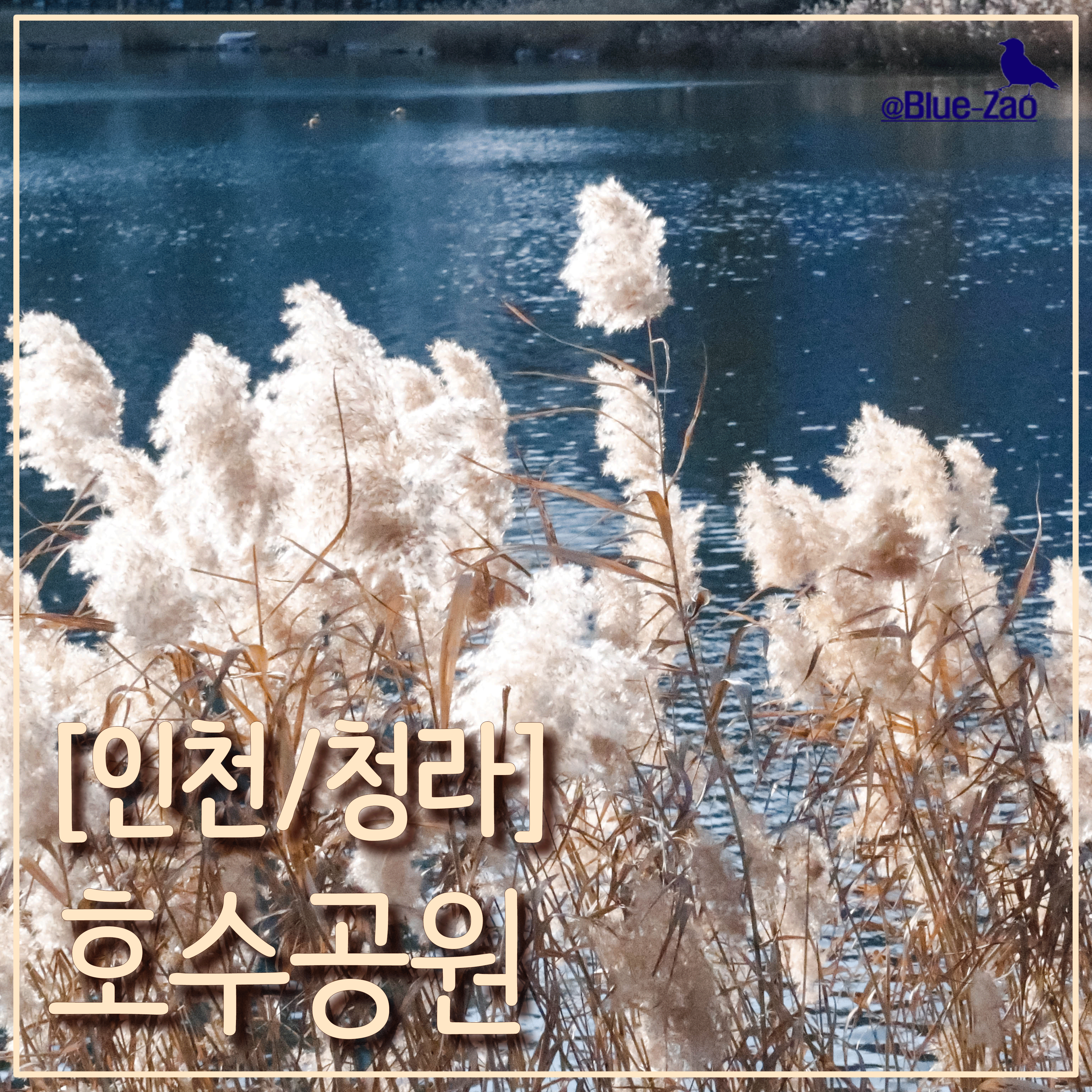  [청라 호수공원] 캐논 G7X Mark2로 찍은 사진들