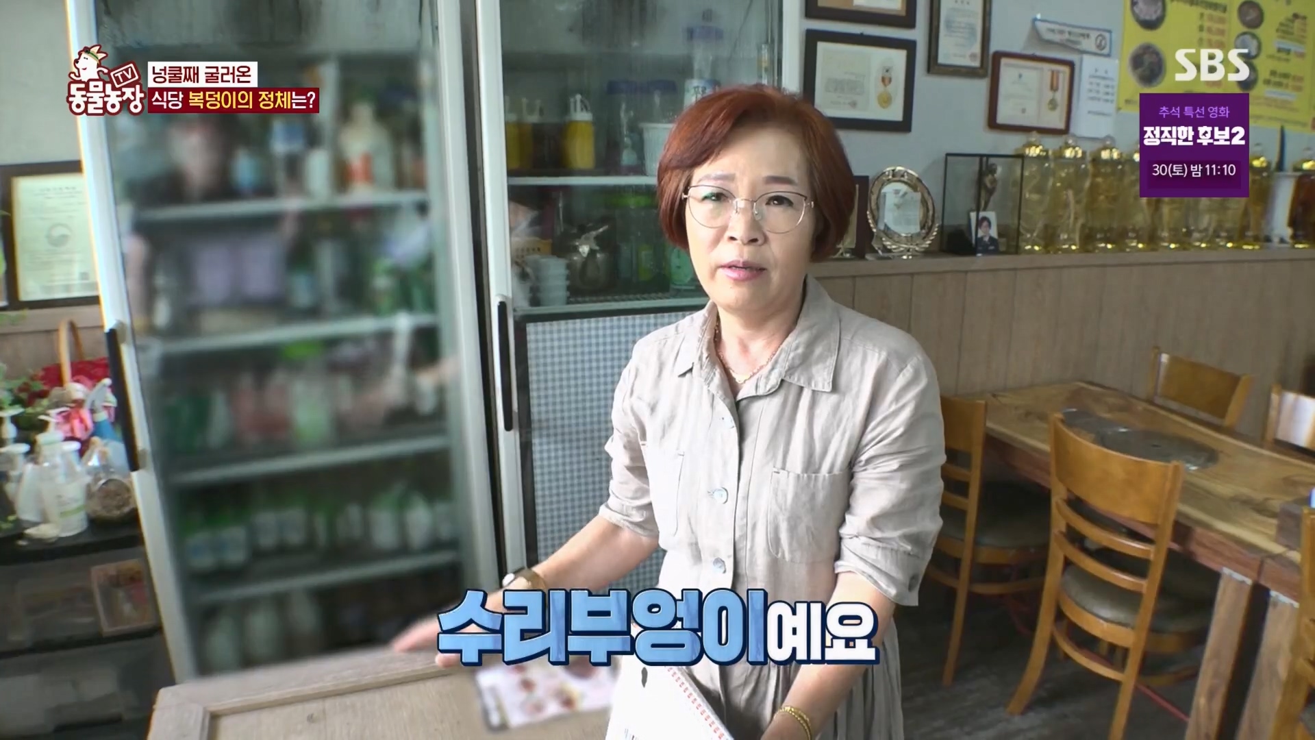TV 동물농장.E1139.230924p.H264-F1RST.mp4_20230924_165945.804.jpg