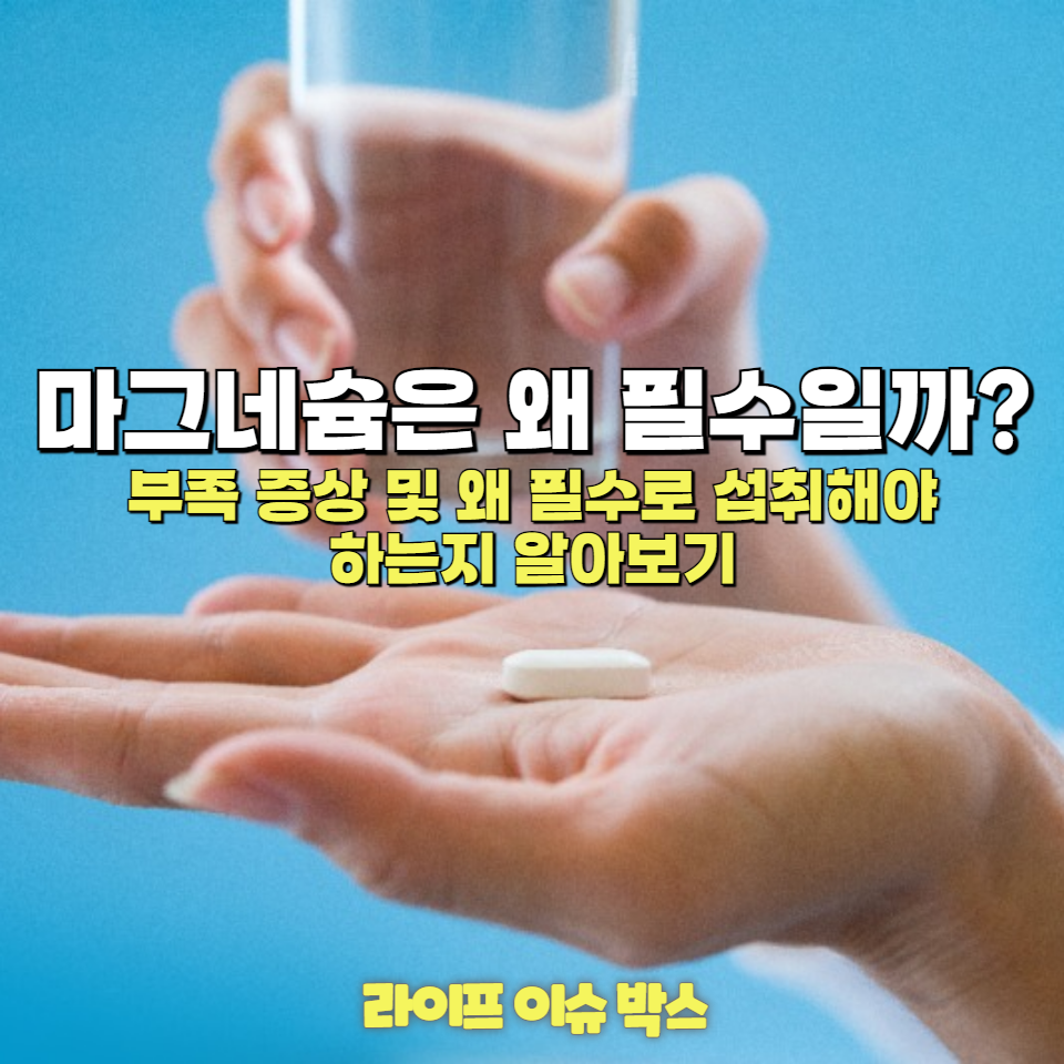 마그네슘 부족 증상과 필수 섭취 이유