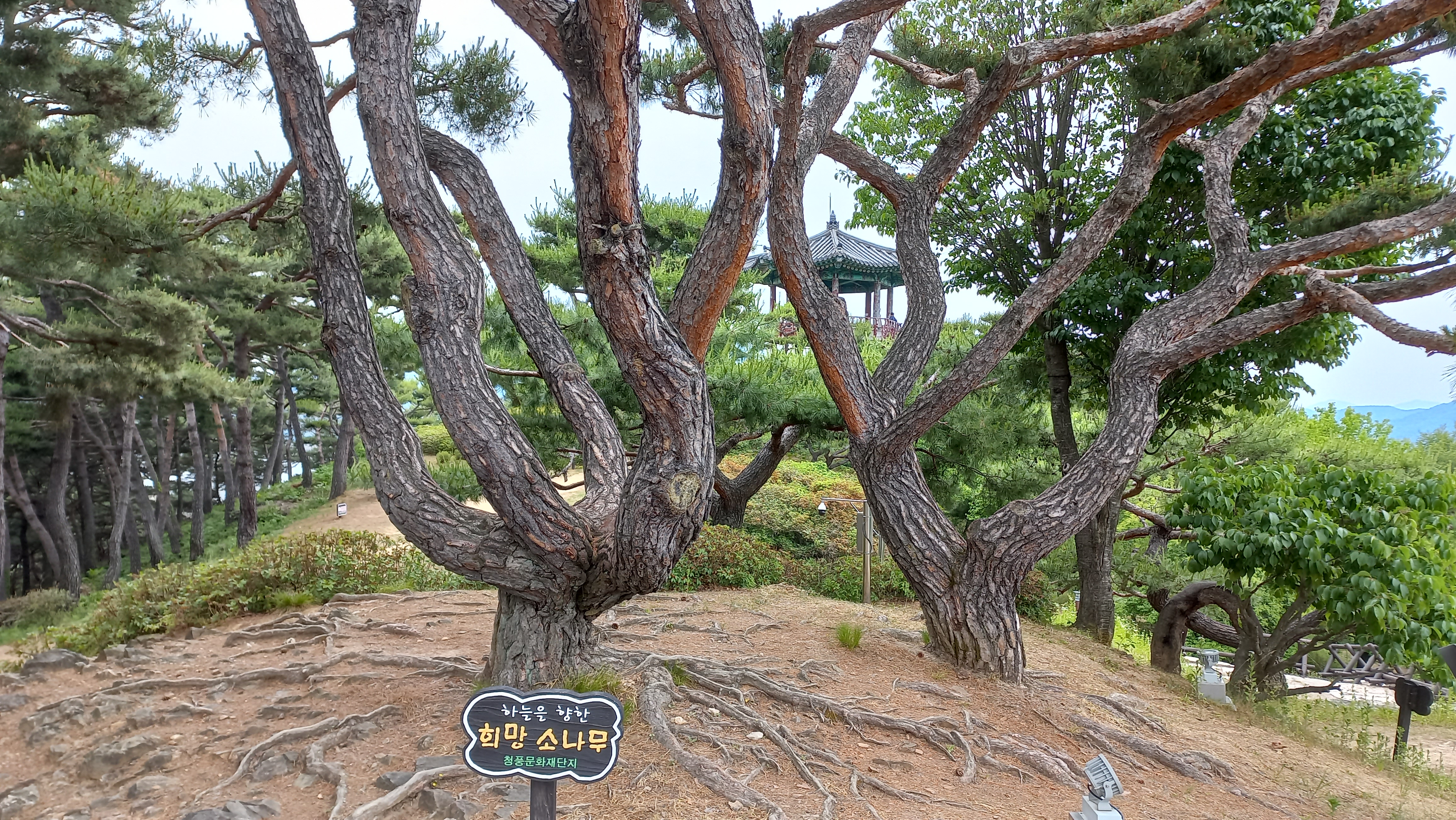 청풍명월의 고장, 제천 청풍 문화재단지(2/2) 한벽루와 망월산성과 망월루 - 휴식같은 여행으로의 초대 이미지