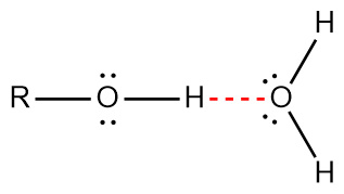 alcohol-water hydrogen bonding