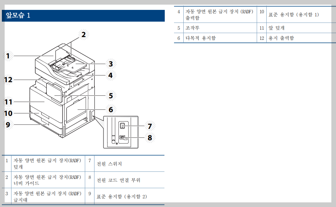 앞모습