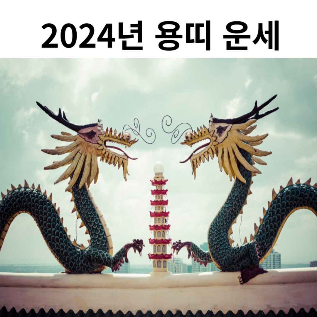 2024년 갑진년 용띠 운세 종합운세1