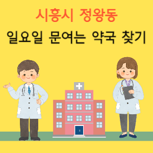 시흥시 정왕동 일요일 문여는 약국 찾기