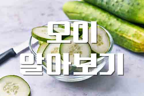  오이, 수분 95% 갈증 해소에 최고