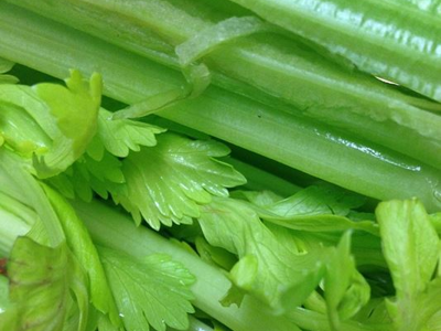 샐러리 효능 10가지 34