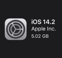  iOS 14.2 업데이트 / 애플워치 심전도(EGC), 부정맥 알림 기능
