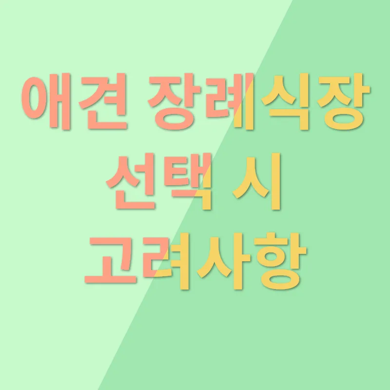 애견 장례식장 소개_2