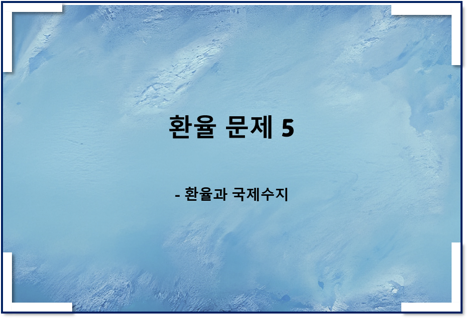 환율 관련 문제5(feat 환율과 국제수지)