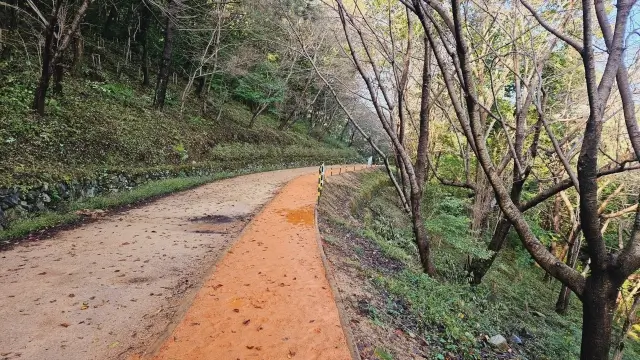 엄광산 맨발숲길 풍경